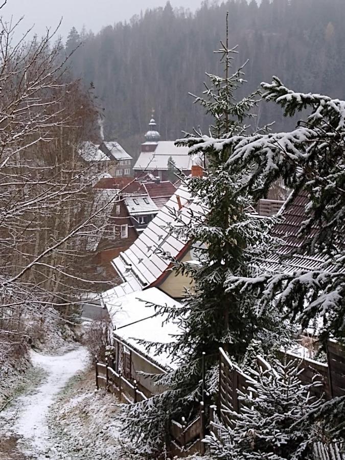Ferienappartement Potthoff 2 -Hund Willkommen- Altenau  Luaran gambar