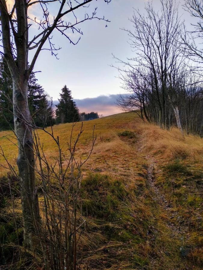 Ferienappartement Potthoff 2 -Hund Willkommen- Altenau  Luaran gambar